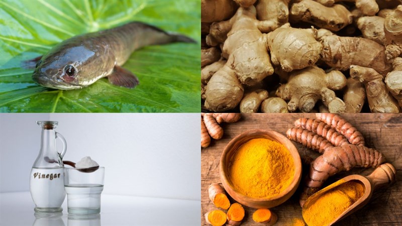 Hình nguyên liệu làm ruốc cá quả