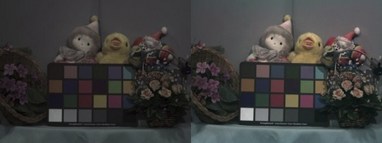 Ảnh so sánh công nghệ mới của Panasonic (ảnh bên trái sử dụng bộ lọc Bayer, bên phải sử dụng công nghệ mới cho màu sắc tươi tắn hơn)