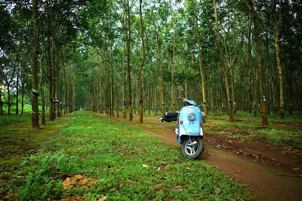 Một góc Tây Nguyên