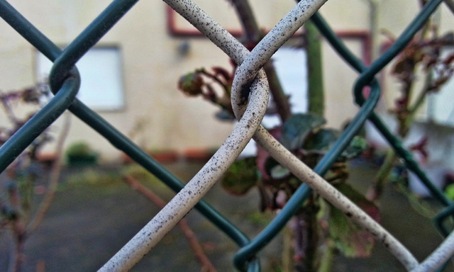 Samsung-Galaxy-S3-01