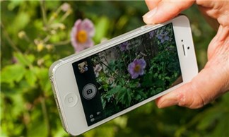 Camera chụp trước lấy nét sau cũng sẽ có mặt trên iPhone