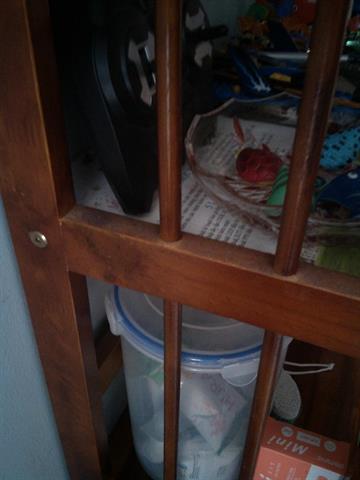 Hình ảnh được chụp từ camera của Lenovo A706