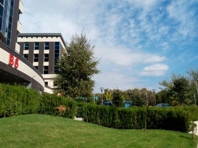 Ảnh chụp từ camera 13MP của One Touch Idol X