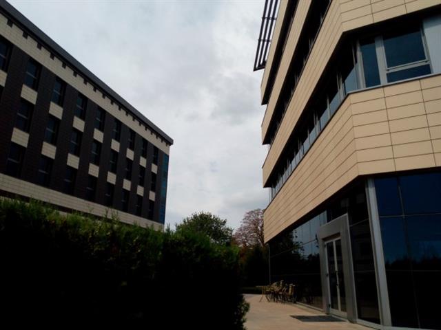 Ảnh chụp từ camera 13MP của One Touch Idol X