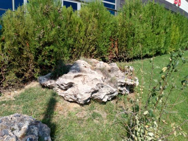 Ảnh chụp từ camera 13MP của One Touch Idol X