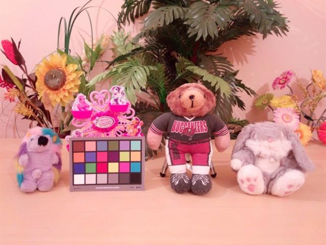 Ảnh chụp từ camera 13MP của One Touch Idol X