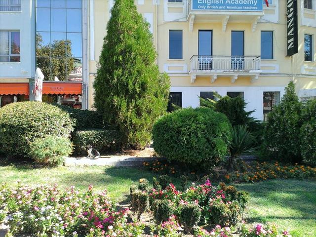 Ảnh chụp từ camera 5MP của HTC Desire 601