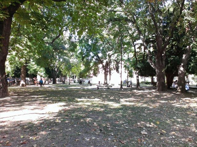 Ảnh chụp từ camera 5MP của HTC Desire 601