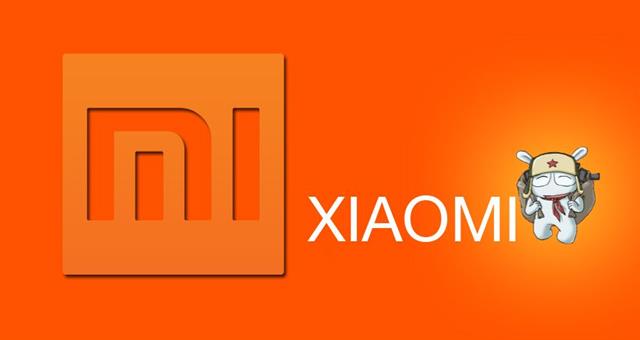 Xiaomi đã khá thành công trong năm qua