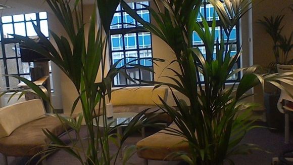 Ảnh chụp từ camera 1,2MP của Asus Transformer Book T100