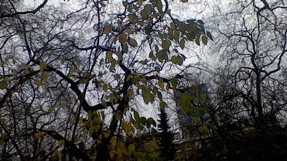 Ảnh chụp từ camera 1,2MP của Asus Transformer Book T100