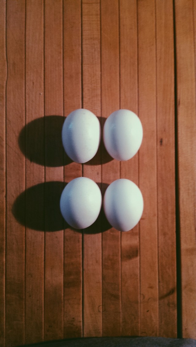 Nhiếp ảnh gia chuyên nghiệp hài lòng với camera của HTC One