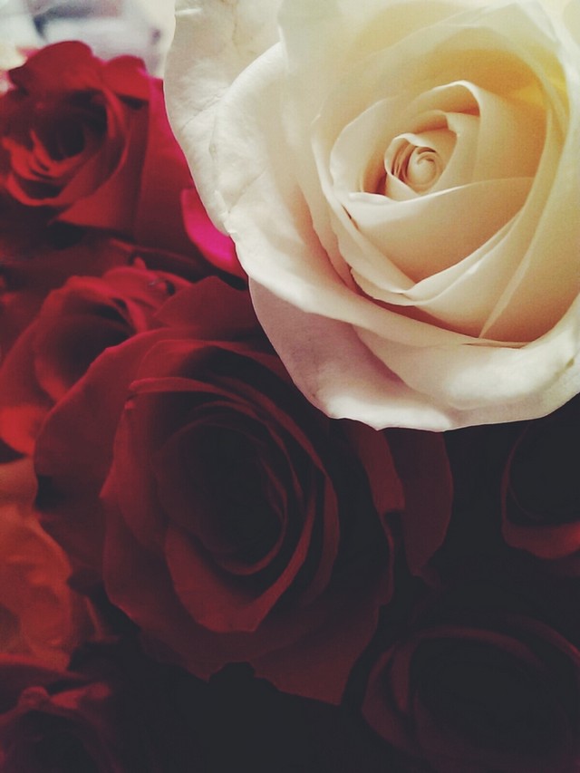 Nhiếp ảnh gia chuyên nghiệp hài lòng với camera của HTC One