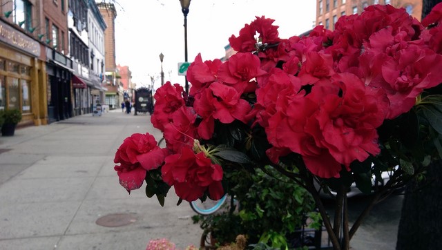 Ảnh chụp với Duo Effects