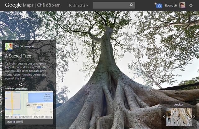 Cây thánh to lớn