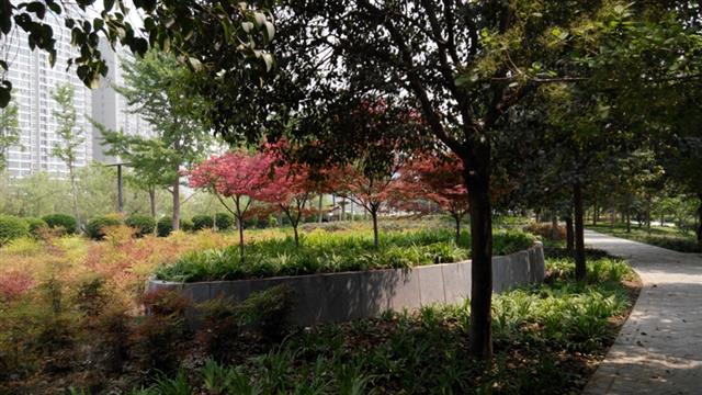 Ảnh chụp từ Xiaomi RedMi Note trong môi trường đủ sáng