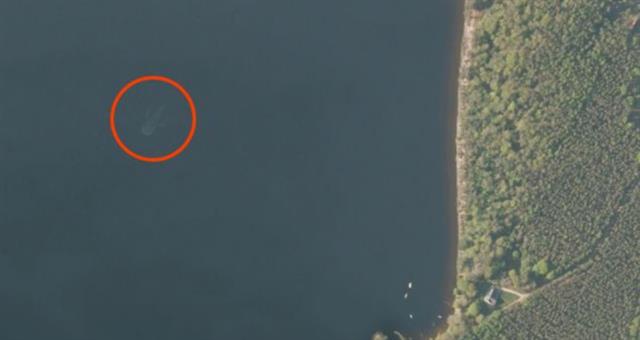 Vào năm ngoái người ta cũng ráo riết