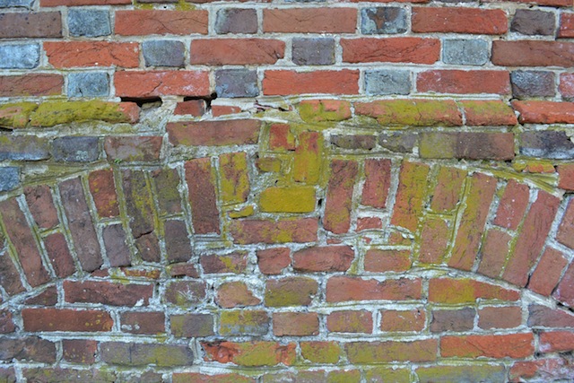 So sánh ảnh hình khối (One PlusOne trên, Nikon D3100 dưới)