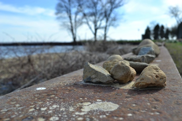 So sánh ảnh xoá phông (One PlusOne trên, Nikon D3100 dưới)