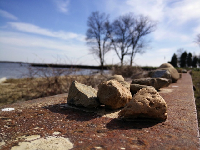 So sánh ảnh xoá phông (One PlusOne trên, Nikon D3100 dưới)