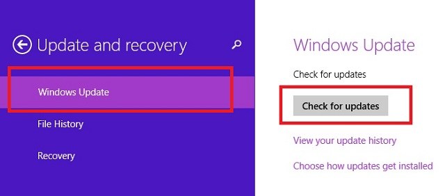 Chọn Check for updates trong tab Windows Update