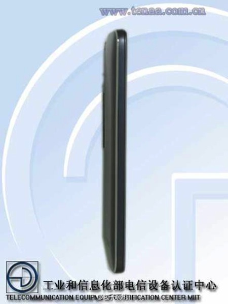 Thân hình khá mỏng