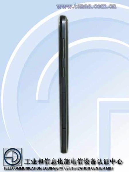 Thân hình khá mỏng