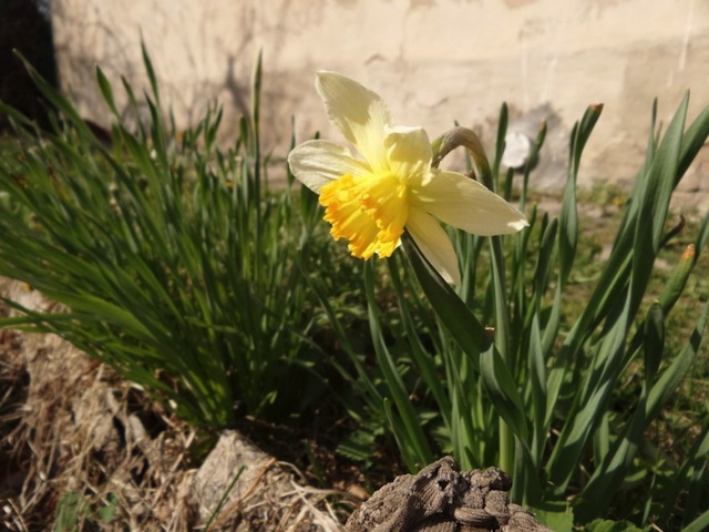 Một số ảnh chụp từ K Zoom: