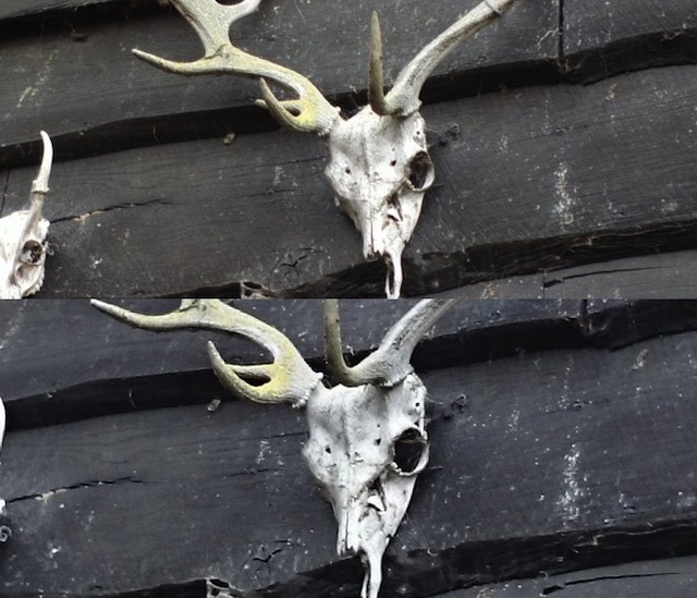 Ảnh so sánh (808 PureView ở trên, Xperia Z2 ở dưới)