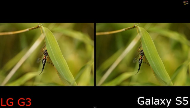 Ảnh chụp từ video 4K trên hai thiết bị