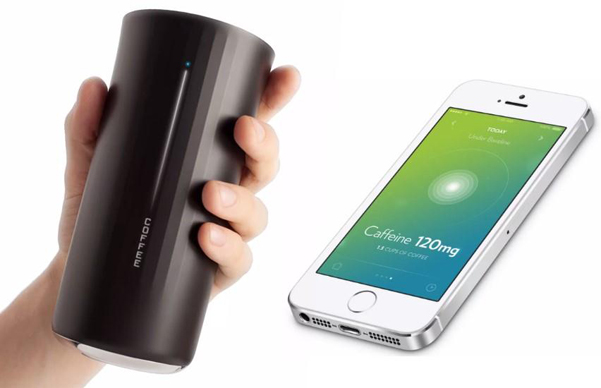 Ly thông minh Ly thông minh