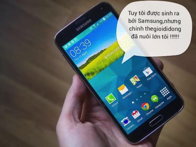 Thông điệp nhiều ý nghĩa