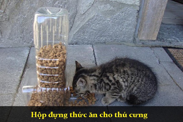 Hộp đựng thức ăn cho thú cưng