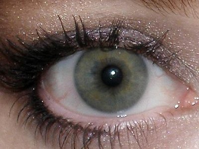 Bị sa thải vì nghỉ việc ở nhà lướt Facebook