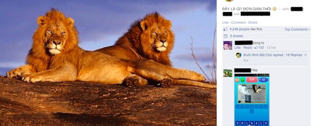 Một vài bức ảnh dễ đoán ra đáp án