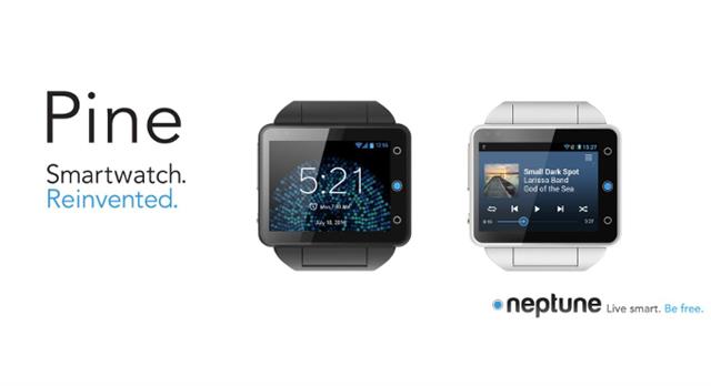 Neptune pine price new arrivals