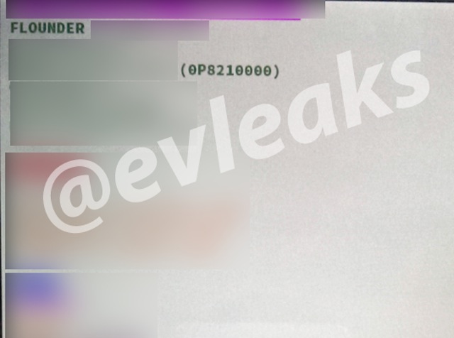 Ảnh rò rỉ với tên mã Flounder