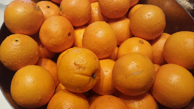 Loạt ảnh chụp từ Galaxy Alpha: