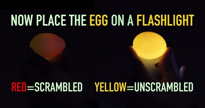 4 trò lừa có thể làm với 1 quả trứng