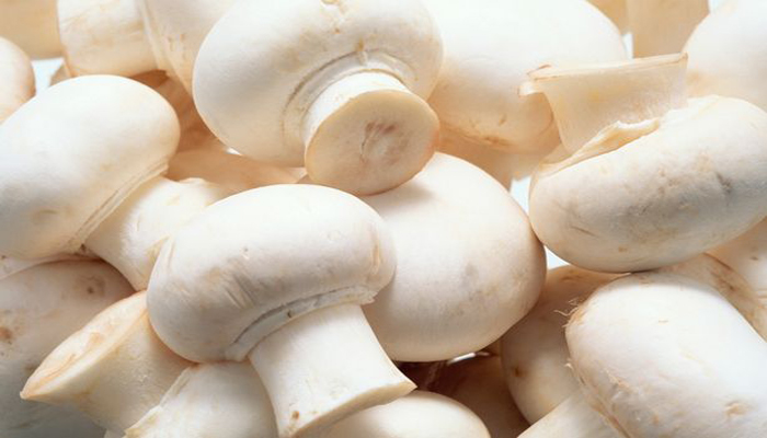 Fat mushrooms help reduce blood sugar and cholesterol