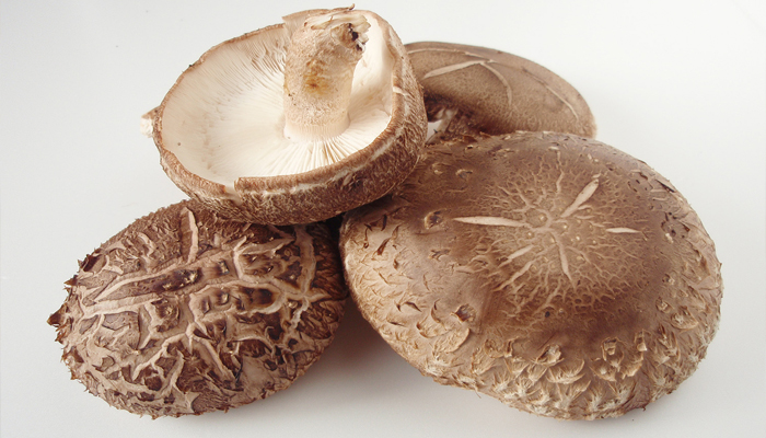 Shiitake mushrooms are good for cardiovascular diseases