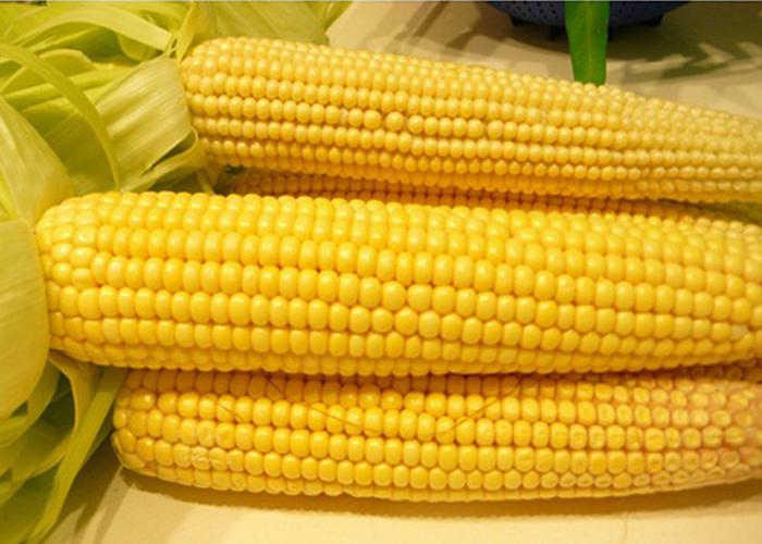 Boil corn