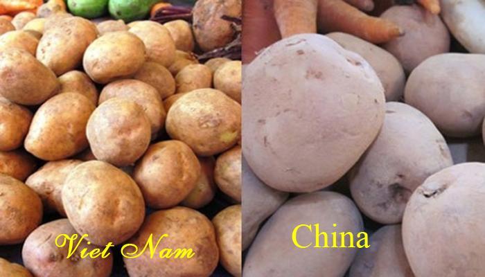 Cách chọn rau củ an toàn không phải hàng Trung Quốc