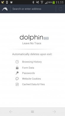 Dolphin Zero
