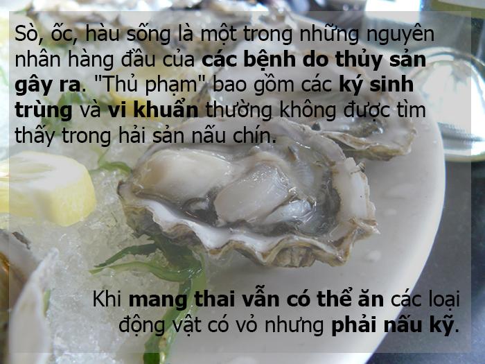 Những thực phẩm đại kỵ khi mang thai (Phần 2)