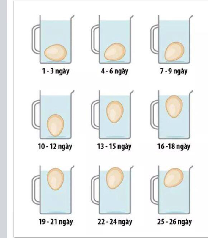 Thả trứng g&agrave; v&agrave;o cốc nước để biết &ldquo;độ tươi&rdquo; của trứng.