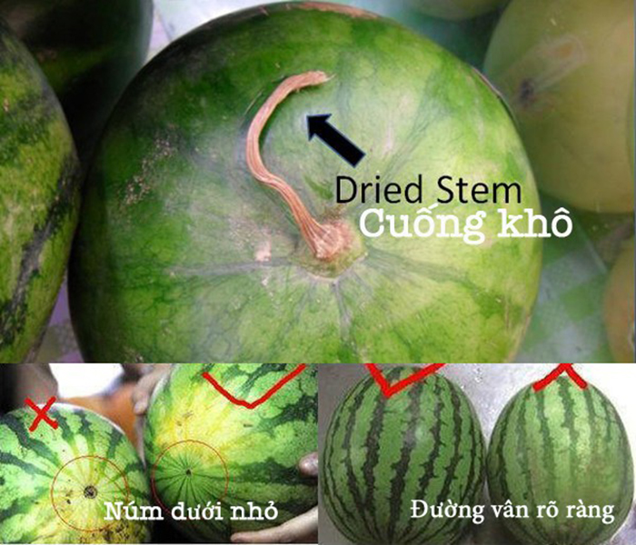 C&aacute;ch chọn dưa hấu