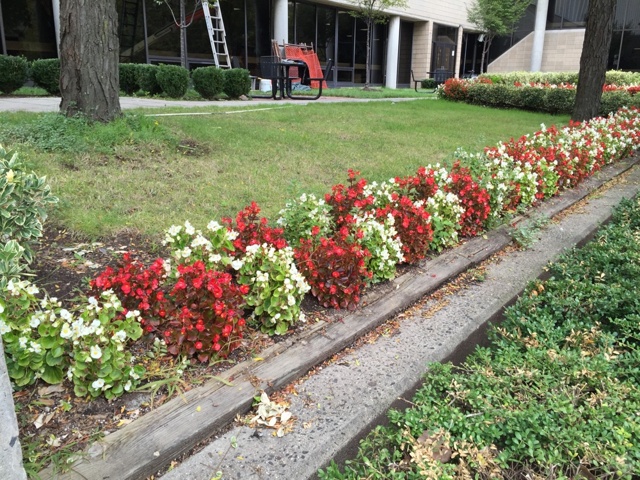 iPhone 6 camera iPhone 6 camera