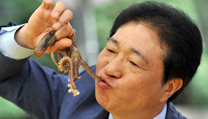 Live octopus is a familiar dish with Korean people