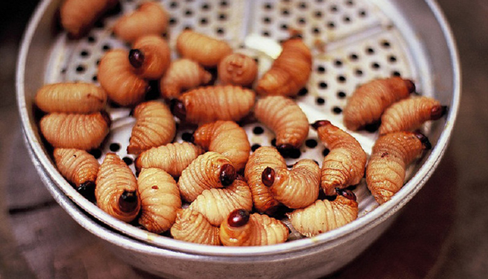 Coconut worm is quite famous in the Mekong Delta region
